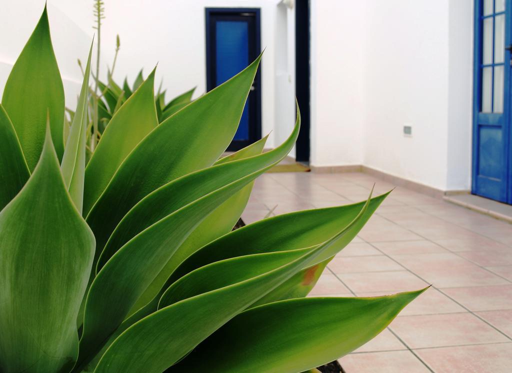 Villas Puerto Rubicon Коста Бланка Экстерьер фото